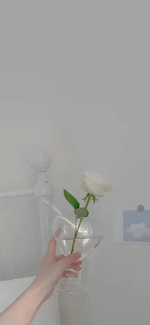 壁纸ins高级感壁纸