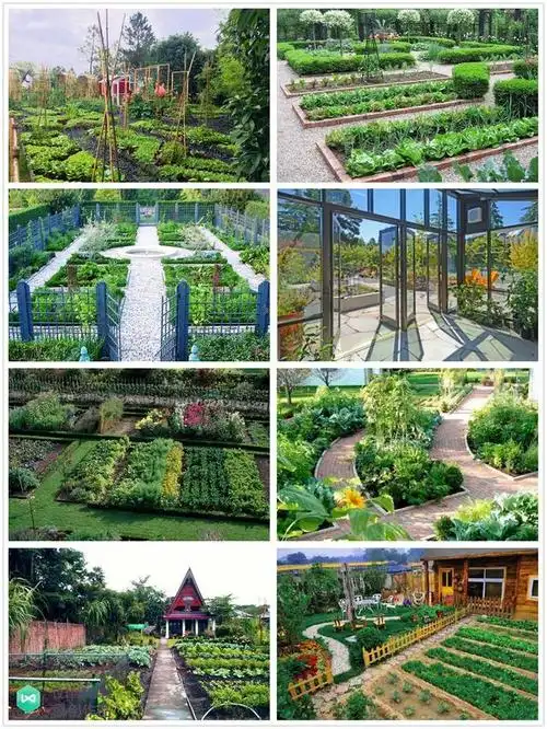 庭院菜园怎么设计最好看264张案例图布置详解简直太实用了