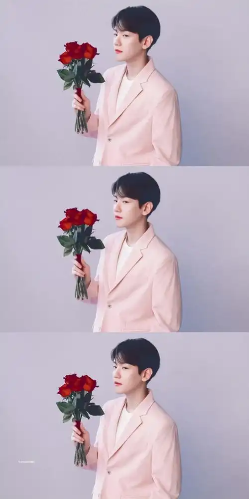边伯贤五月solo回归#tirtir修图|18p|拿图d"小朋友不喜欢玫瑰花?