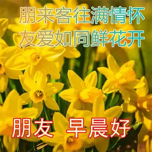 星期二慰问大家早上好表情祝福语 积极向上正能量的句子 早安图片