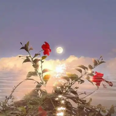 高清能带来好运的微信头像大全2021图片