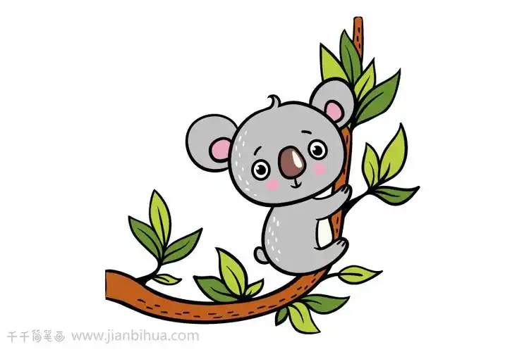 乖巧的树袋熊简笔画图片