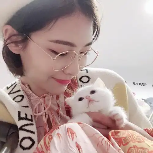 许佳琪和猫咪合照