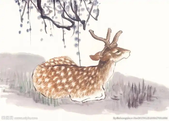 梅花鹿设计图__绘画书法_文化艺术_设计图库_昵图网nipic.com