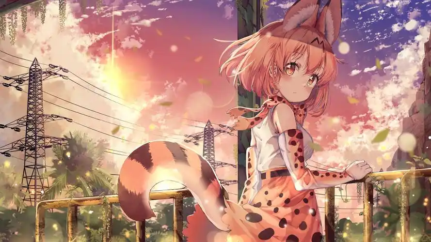 兽耳尾巴可爱女孩4k动漫壁纸壁纸