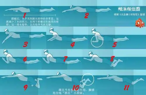 教你如何掌握蛙泳腿部技术