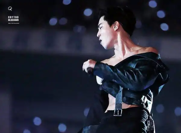 exo日本巨蛋演唱会金俊勉的腹肌照 别的都可以