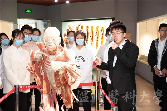 活动伊始,讲解员带领同学们参观人体科普馆.