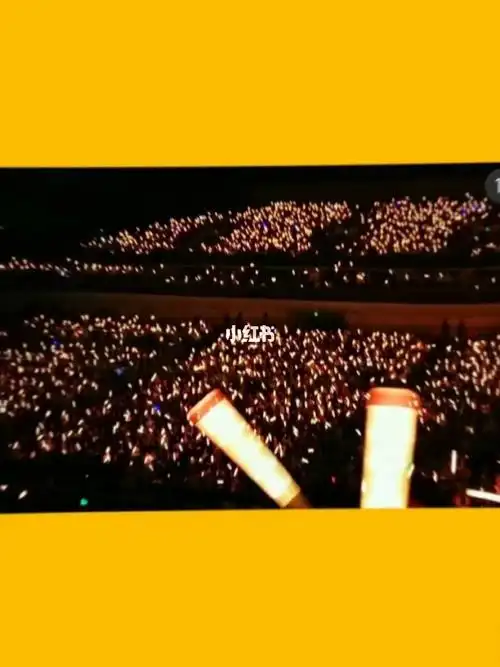 30"应援棒太小 装不下他们一路的披荆斩棘"@tfboys#tfboys  #澄海