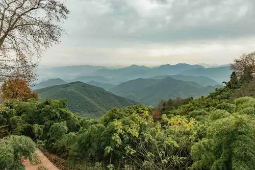 "江南第一山"莫干山