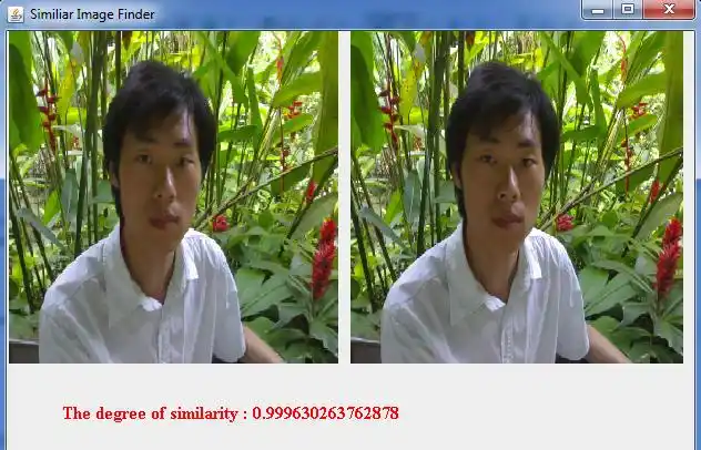 java 灰度直方图_java基于直方图应用的相似图片识别实例