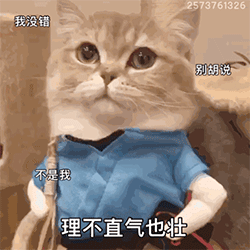 表情包 - 堆糖,美图壁纸兴趣社区