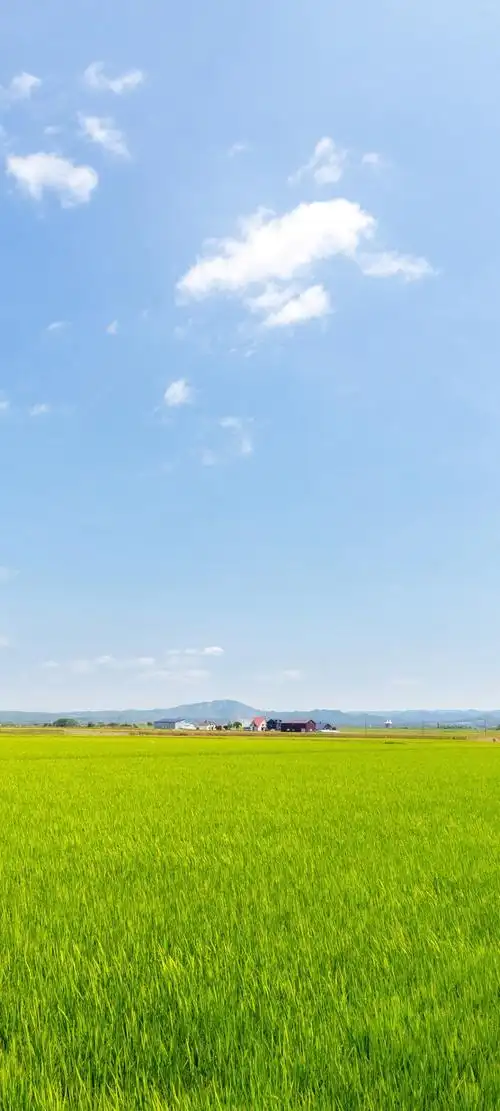 蓝天白云绿色草原风景手机壁纸,自然风景-可爱美图
