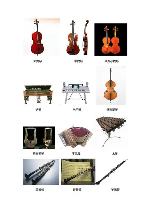 常见西洋乐器名称及图片大全0doc3页