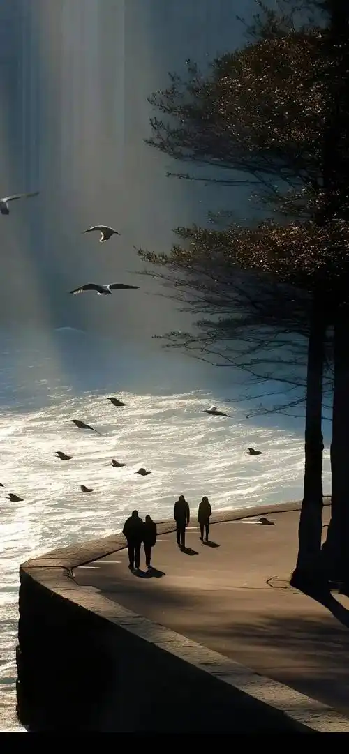 壁纸 | 高清全面屏锁屏壁纸