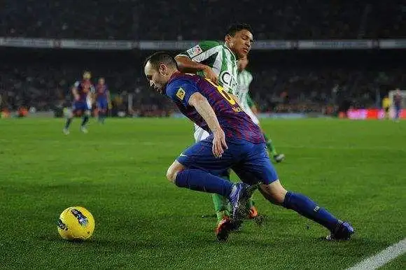 4.伊涅斯塔(小白)——油炸丸子