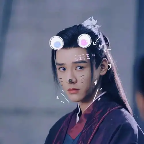 水产 快砖 【直接啦嘿】07二改/商用菌丝宝头像自便龚俊|温客行