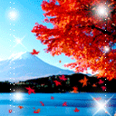 128_128gif 动态图 动图