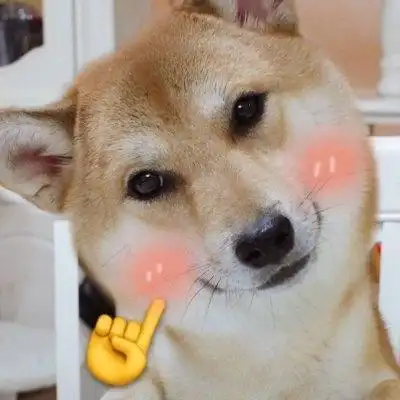 猫狗情侣头像一左一右 最新微信萌宠情侣头像搞怪可爱,情侣头像图片