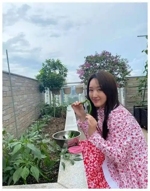 52岁杨钰莹的深圳豪宅火了养花种菜与狗相伴不亦快哉