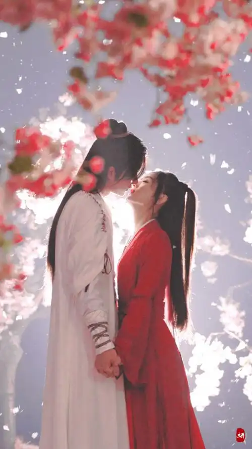 有翡赵丽颖x王一博