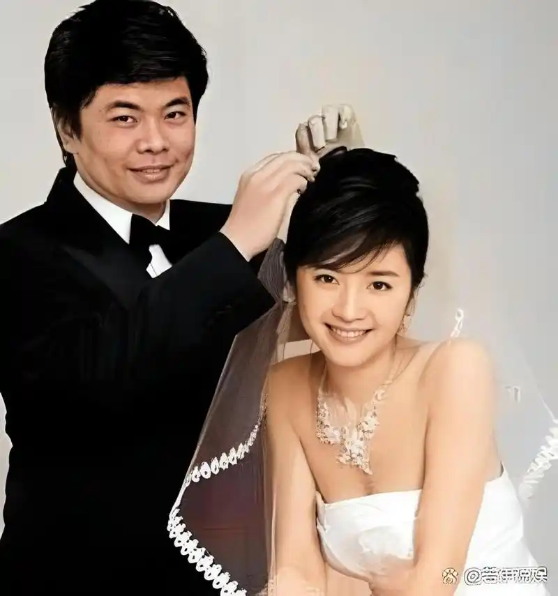 当时,富豪丁健爱上了央视主持人徐戈辉,而他的妻子已经生下了二胎