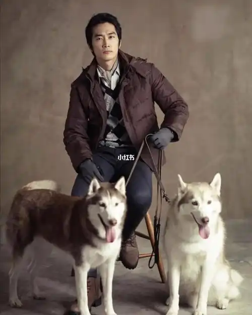 one偶像顶级韩流宋承宪(作者) :94你94你94你陈洁2021-11-16