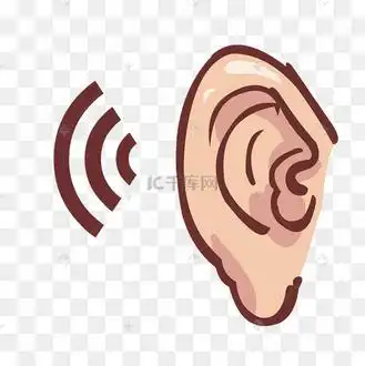 卡通人体器官人体五官耳朵结构