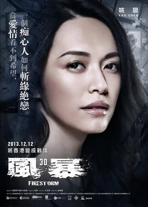 2014年贺岁档电影—— 风暴