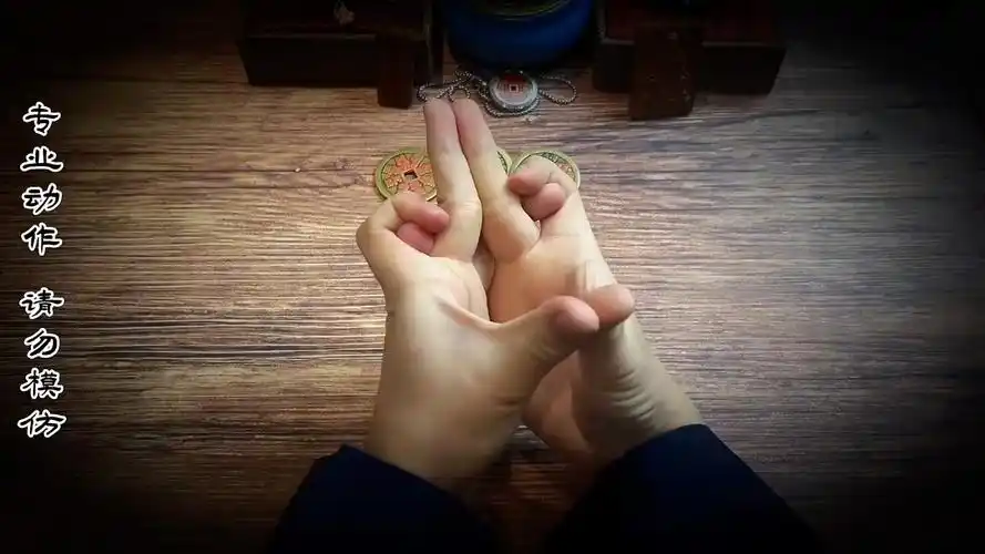 97玄武#弘扬道教文化#道教#青龙#四大神兽#道教手印#朱雀#玄学#玄门