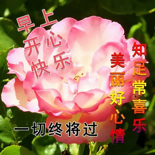 原创早安祝福语动态美图清早问候大家的早上好的漂亮图片