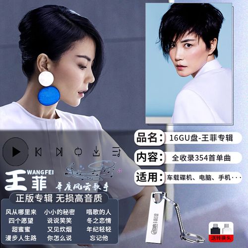 曼影王菲专辑歌曲合集华语流行热歌无损高音质车载u盘音乐mp3优盘