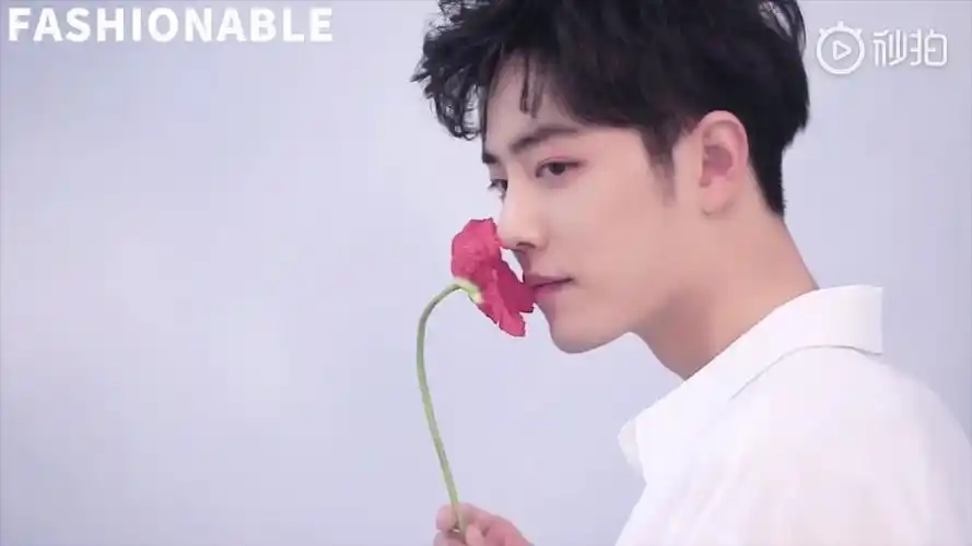 肖战广告笑容混剪