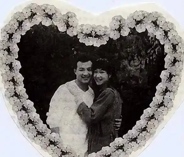 曾和肖战恋爱,如今成教授_焦志敏_何智丽_陈静