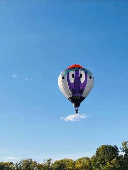 卡尔加里热气球节