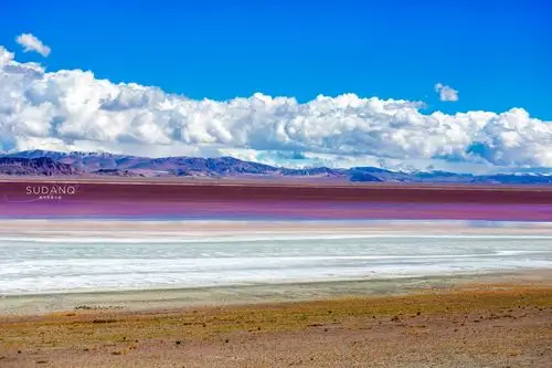 羌塘无人区的罕见风光:扎布耶茶卡,西藏唯一的粉红色湖泊_盐湖