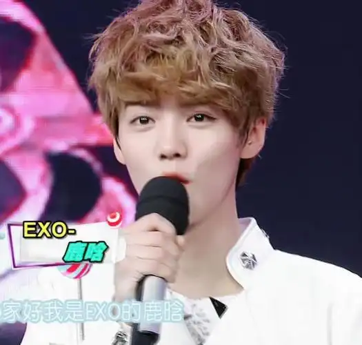 240220卷毛鹿登场粉丝心中永恒的萌宠鹿晗