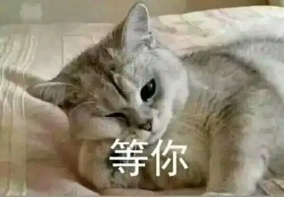 等你猫咪猫咪表情