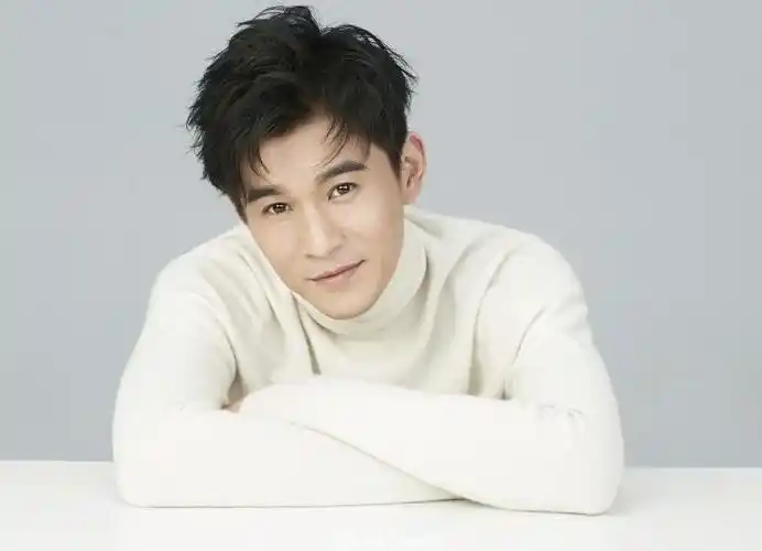 由于乔振宇古装扮相儒雅帅气,与严屹宽,霍建华,钟汉良,并称为"天涯