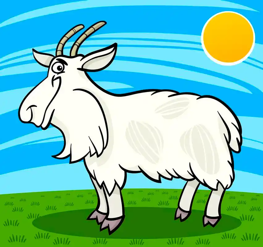 长毛山羊农场动物卡通插图