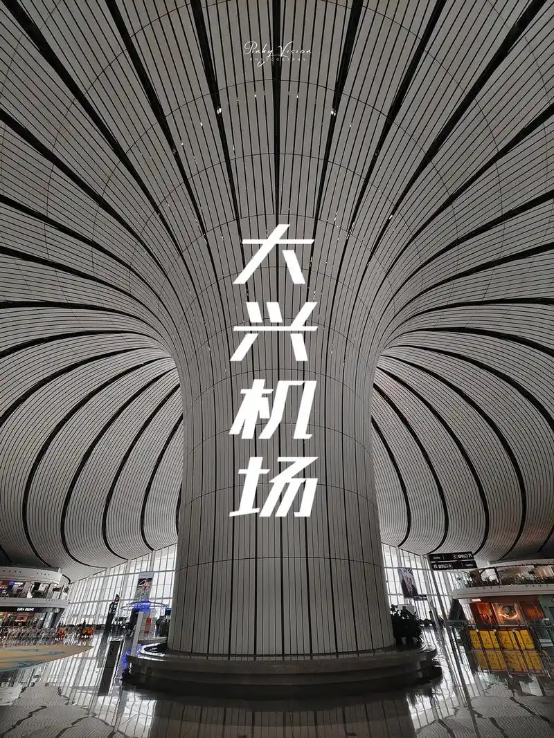 北京 | "新世界七大奇迹之首"大兴机场.最近大家恢复了出行 - 抖音