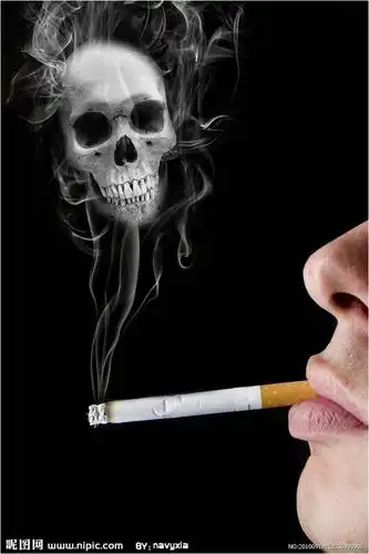 吸烟的危害-学路网-学习路上 有我相伴