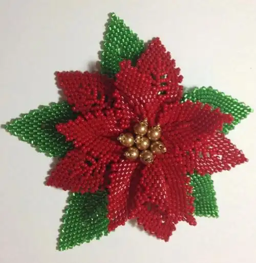 丹参花串珠图解