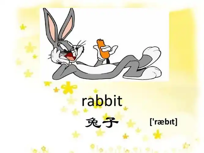 是小学高段和初中低年级常用的英语单词,便于学生的学习 rabbit 兔子