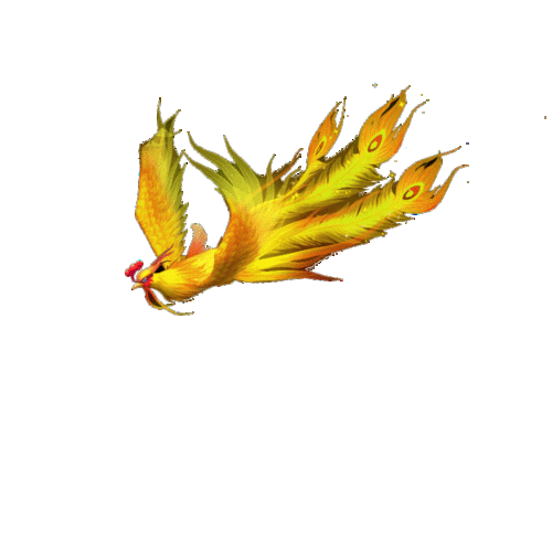 是孔雀东南飞,还是飞来金凤凰