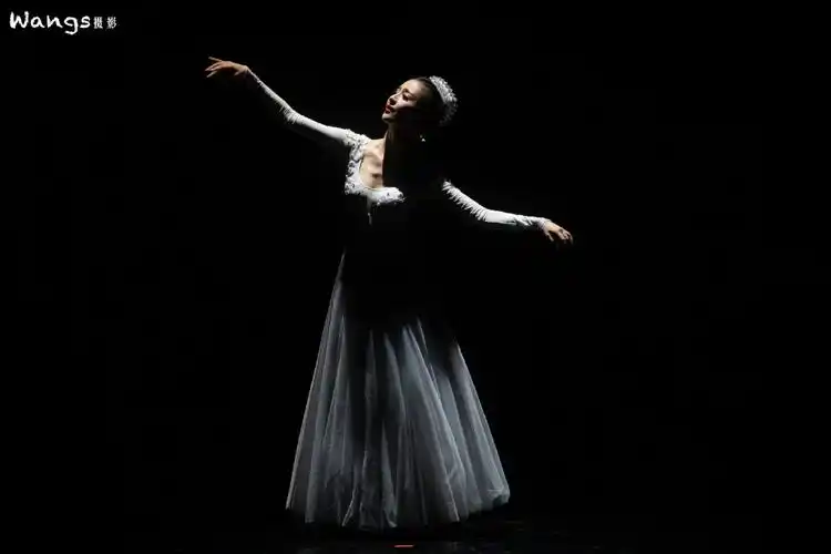 佟丽娅唯美舞台照图片