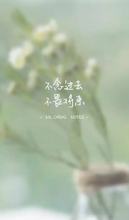 不念过去 不畏将来