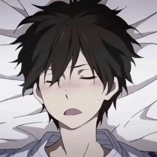 折木奉太郎清秀动漫头像