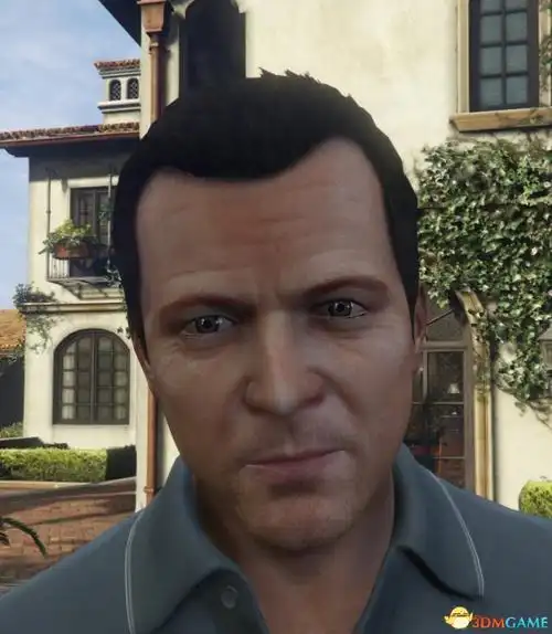 侠盗猎车5富兰克林和米歇尔的超清面部mod