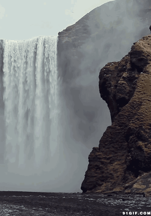 500_717竖版 竖屏gif 动态图 动图